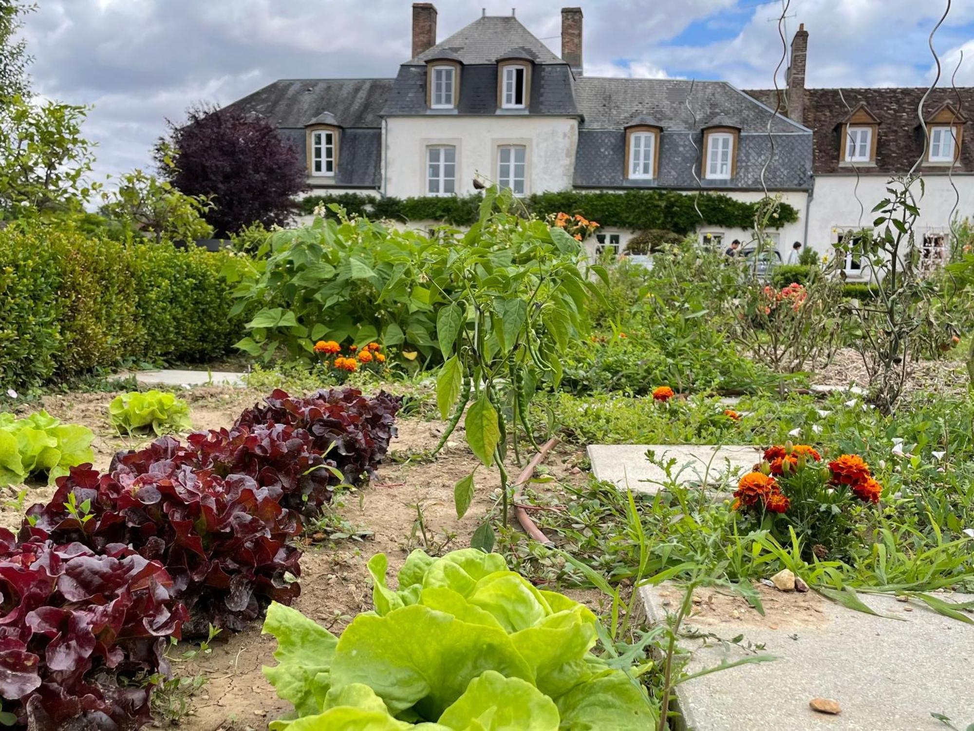 Maison De Famille Pres De Montargis - Elegance Et Confort En Foret - Fr-1-590-354 Paucourt Экстерьер фото